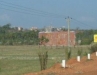 Lolo 194.jpg
